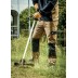 Calças Everyday Dickies®