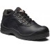 Norden safety shoe