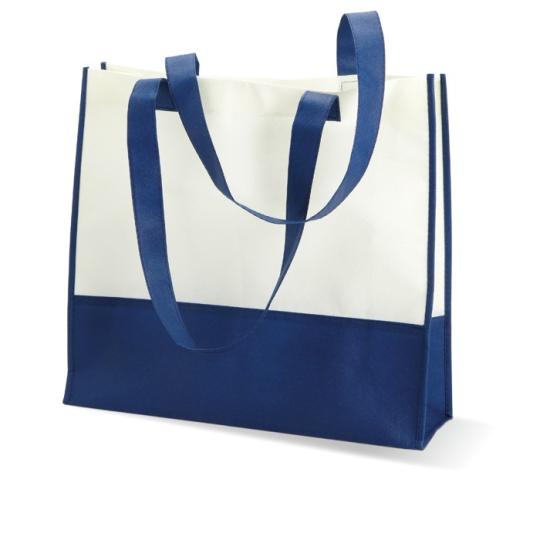 Bolsa de compra o playa Vivi