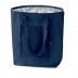 Bolsa térmica Plicool