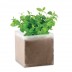 Saco c/ sementes Menta