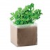 Saco c/ sementes Parsely