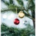 Bálsamo Labial Baublebam