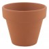 Vaso Manjericão