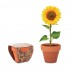 Pequeno Vaso SunFlower