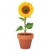 Pequeno Vaso SunFlower
