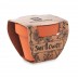Pequeno Vaso SunFlower