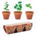 Conjunto de 3 vasos Flowerpot