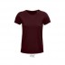 Tshirt Crusader Men and Woman