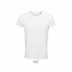 Tshirt Crusader Men and Woman
