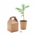 Vaso Growtree™