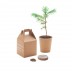 Vaso Growtree™