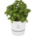 Vaso Metal de cozinha simples Herbs