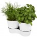 Vaso Mepal de cozinha duplo Herbs