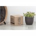 Vaso Coffee Flowerpot