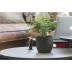 Vaso Coffee Flowerpot