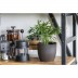 Vaso Coffee Flowerpot