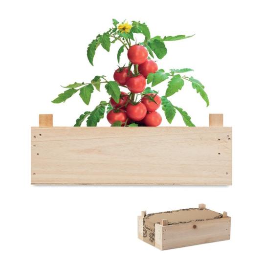 Kit de cultivo Tomato