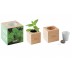 Porte-graines Menthe