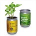 Jardim de Prata