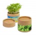 Planta-copo