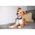 Porta-chaves Dog