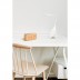 Reloj Darwin