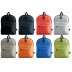 600D polyester backpack