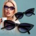 Lunettes de soleil Tabby verres avec protection UV400