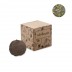 Kit de cultivo de sementes Bombi