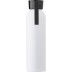Shaunie aluminium bottle