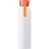 Shaunie aluminium bottle