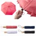 Guarda-chuva RPET Teodora