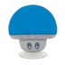 Coluna Mirintex