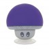 Coluna Mirintex