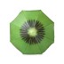 Guarda Sol Chaptan