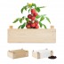 Kit de cultivo em caixa de madeira (Produção)