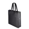 Bolsa en non woven laminado Fern