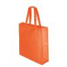 Laminated Non Woven Bag Fern