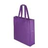 Bolsa en non woven laminado Fern