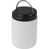 Boîte à lunch en acier inoxydable recyclé de 500 ml Doveron Seasons®