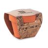 Vaso Forget Me Not