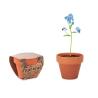 Vaso Forget Me Not