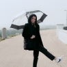 Umbrella Mist