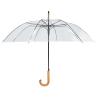 Automatic Umbrella TV