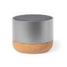 Moore Loudspeaker