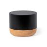 Haut-parleur Moore