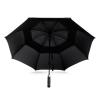 Windy Umbrella