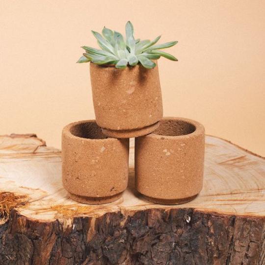 Vaso Luwa