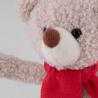 Bear Bob